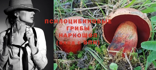 твердый Бронницы