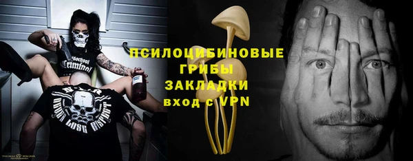 стаф Богданович
