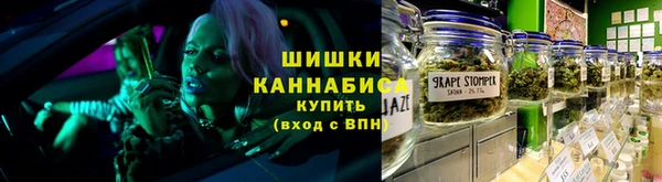 дурь Бородино