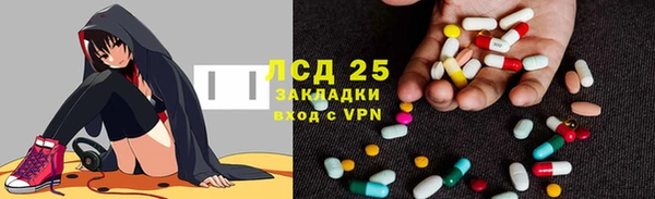 дурь Бородино
