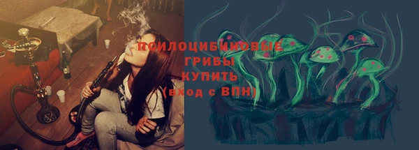 твердый Бронницы