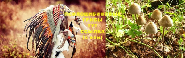 твердый Бронницы