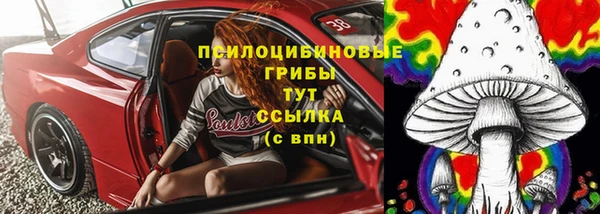 твердый Бронницы