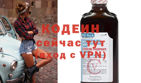 дурь Бородино