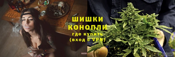 дурь Бородино