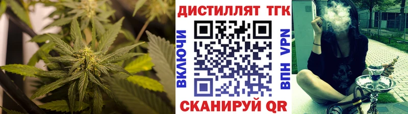 где можно купить   Южа  ТГК концентрат 